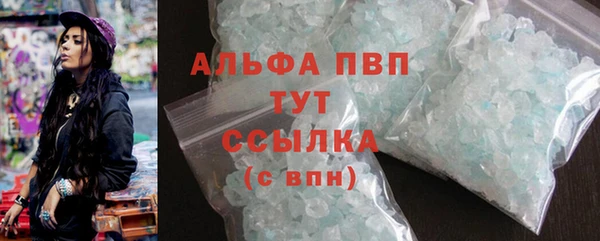 твердый Магас