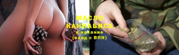 твердый Магас
