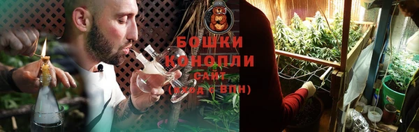 твердый Магас