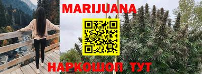 индика Коммунар