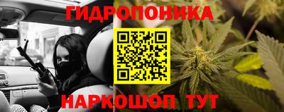 индика Коммунар