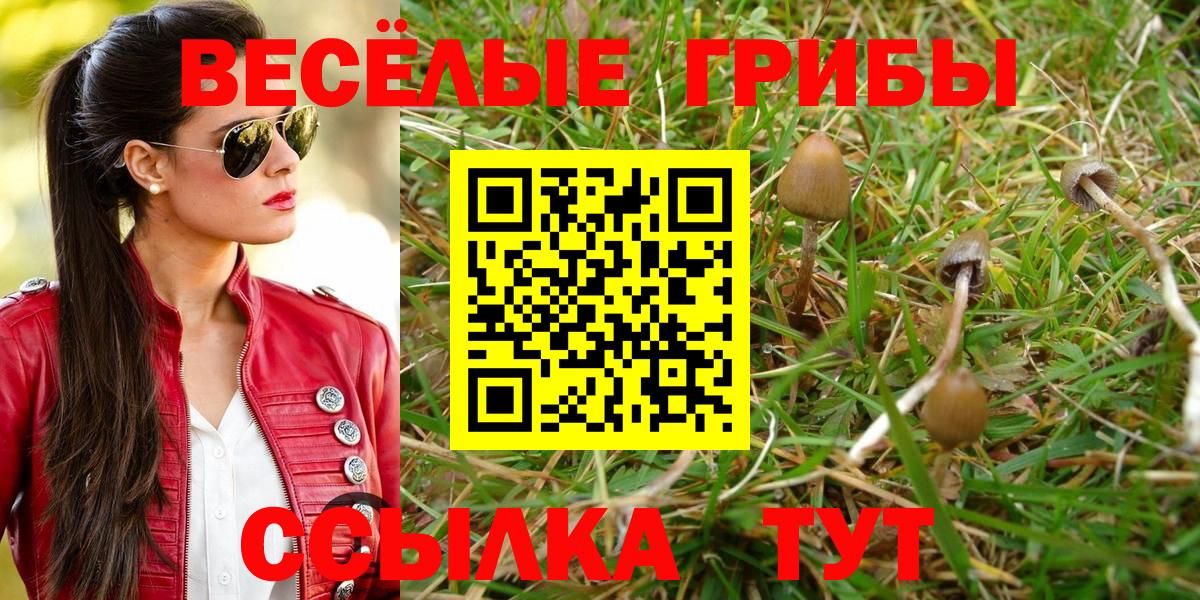 Галлюциногенные грибы Psilocybe  Галлюциногенные грибы Psilocybine cubensis  Вход с VPN  как найти наркотики  Сорочинск 
