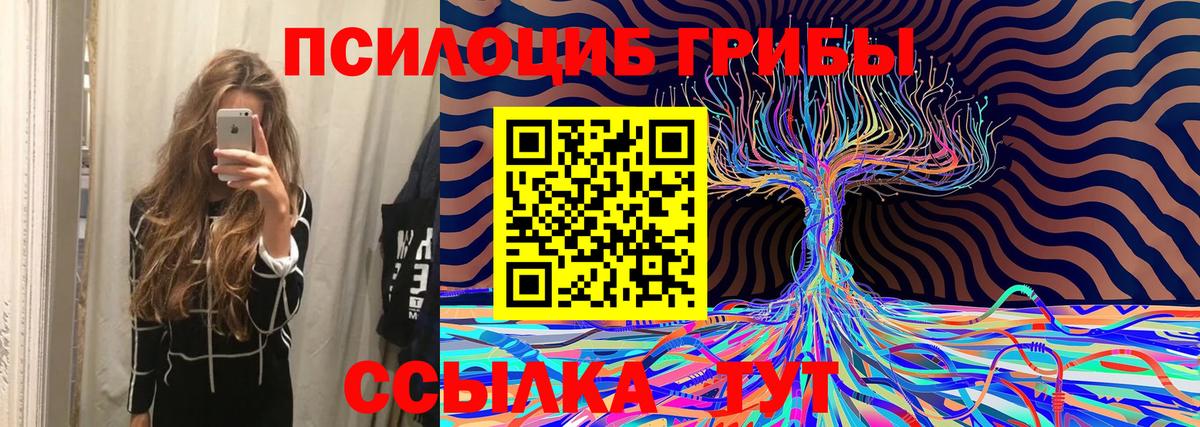 Псилоцибиновые грибы Cubensis Сорочинск